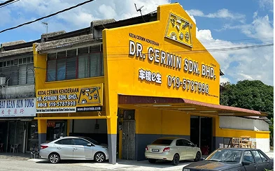 2017